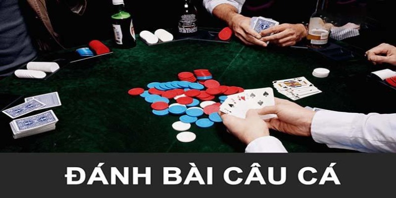 Chiến thuật bắn ria khi chơi bài câu cá 789WIN