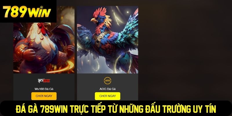 Đá gà 789WIN trực tiếp từ những đấu trường uy tín