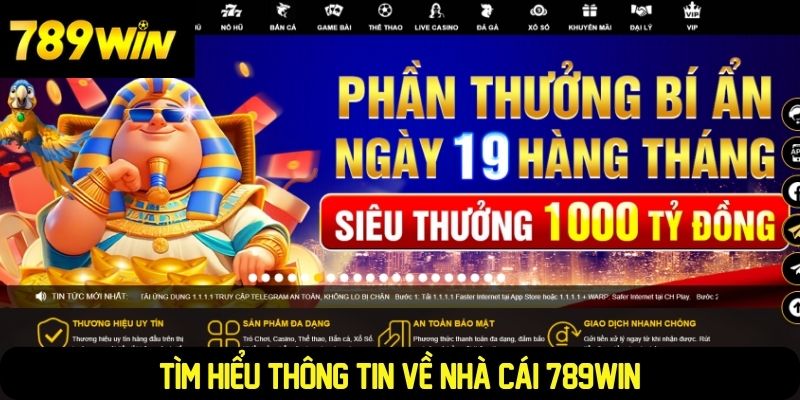 Tìm hiểu thông tin về nhà cái 789WIN